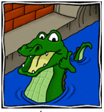 Alligator in sewer
